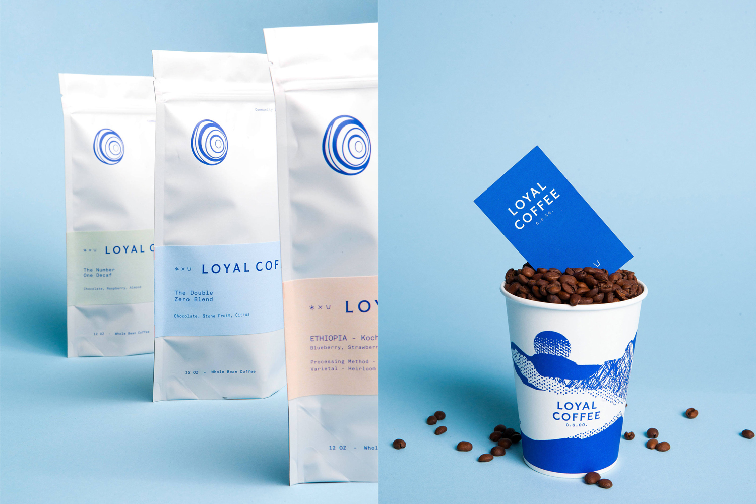 Three white coffee bags and a takeaway cup filled with beans against light blue