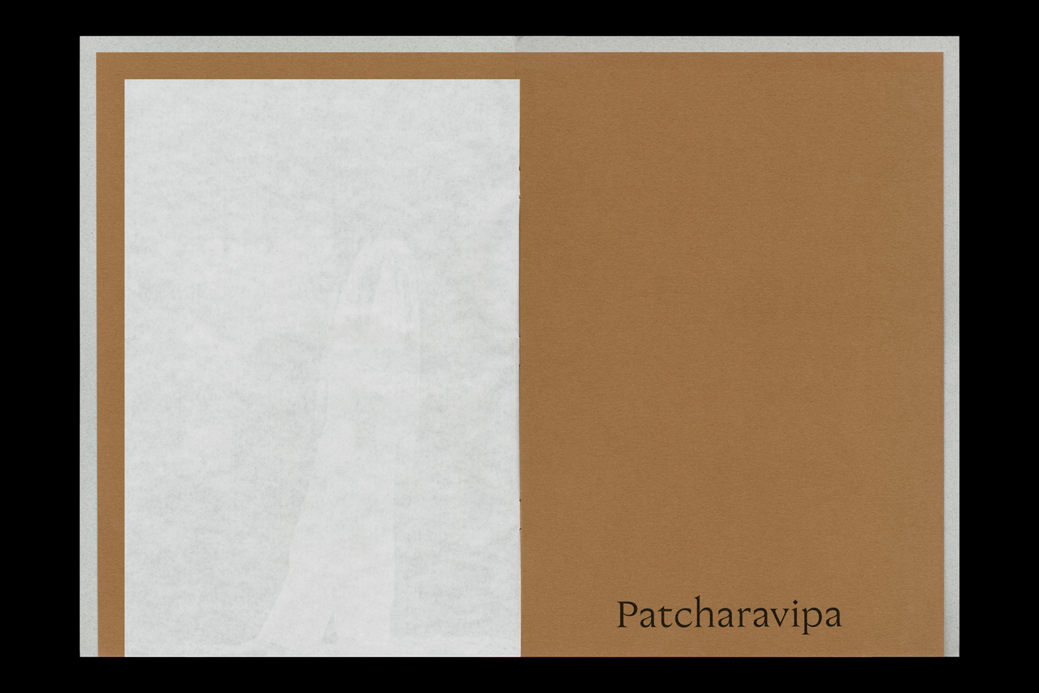 Open book layout featuring a white page with a faint image on the left and brown textured paper on the right with the text Patcharavipa.