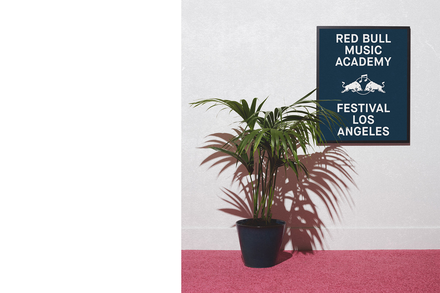 Potted palm plant casting sharp shadows on a textured grey wall next to a dark blue framed festival poster on a red carpet.