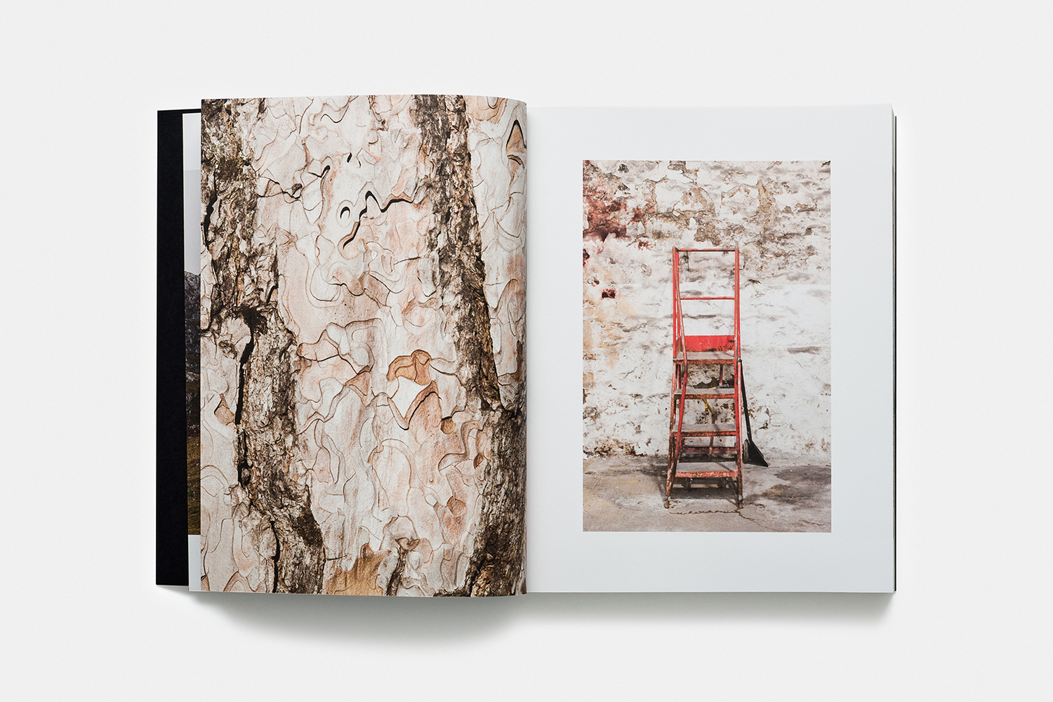 Open book layout showing textured tree bark pattern on left and red ladder photo on right against a white background