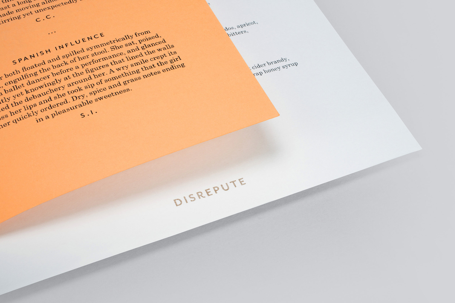 Close-up of printed stationery for Disrepute featuring an orange insert over white paper with minimalist typography.