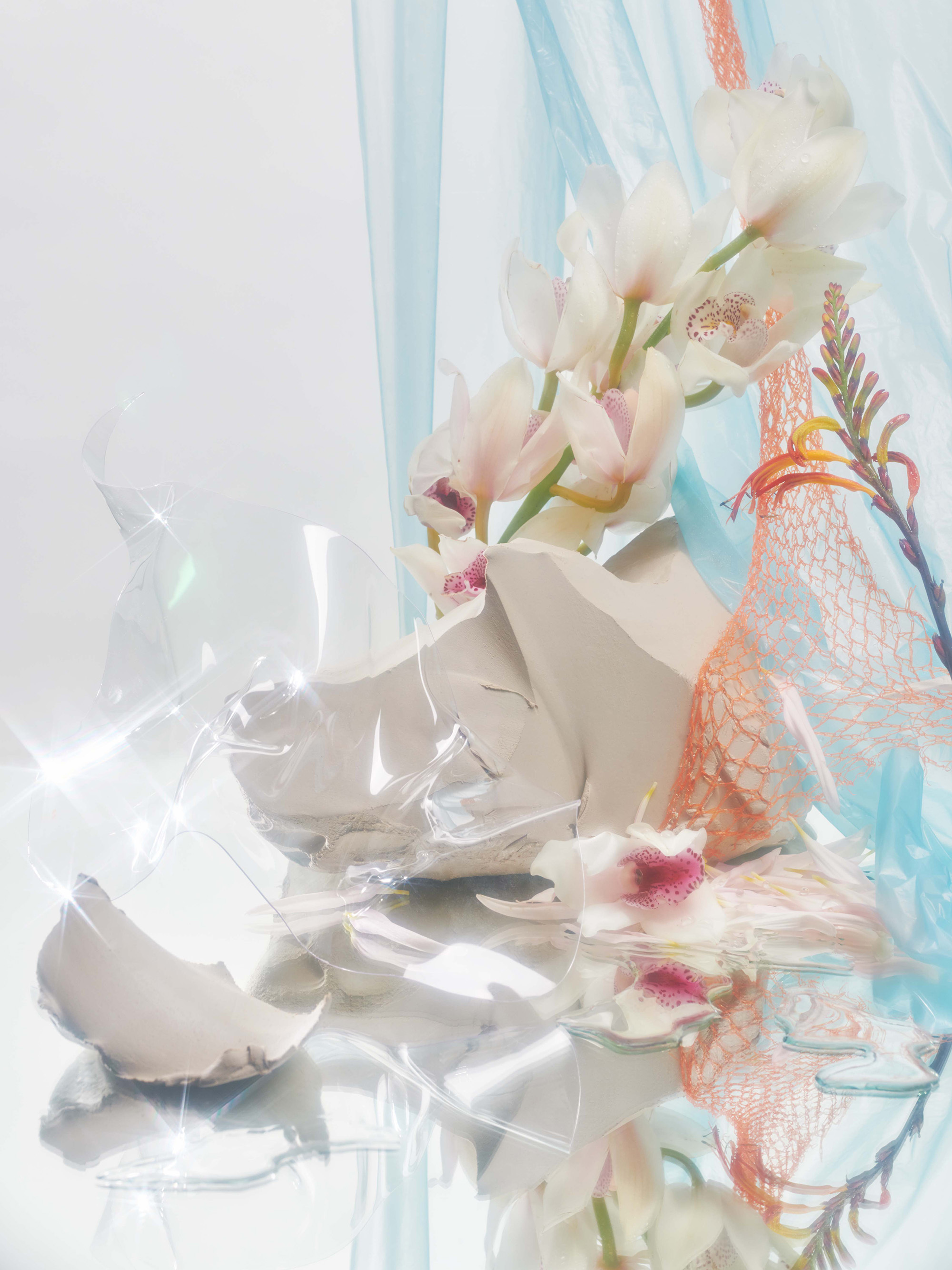 Still life arrangement with white orchid flowers, grey sculptural fragments, and translucent blue and orange mesh fabric on a reflective surface.