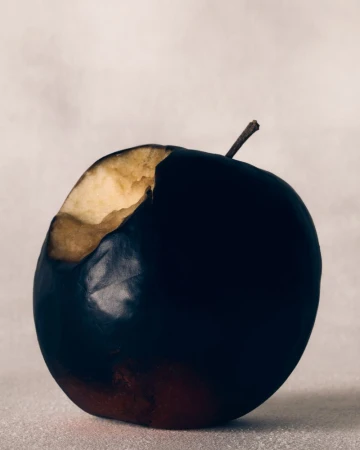 Bitten dark apple with a visible stem resting against a neutral textured light grey background