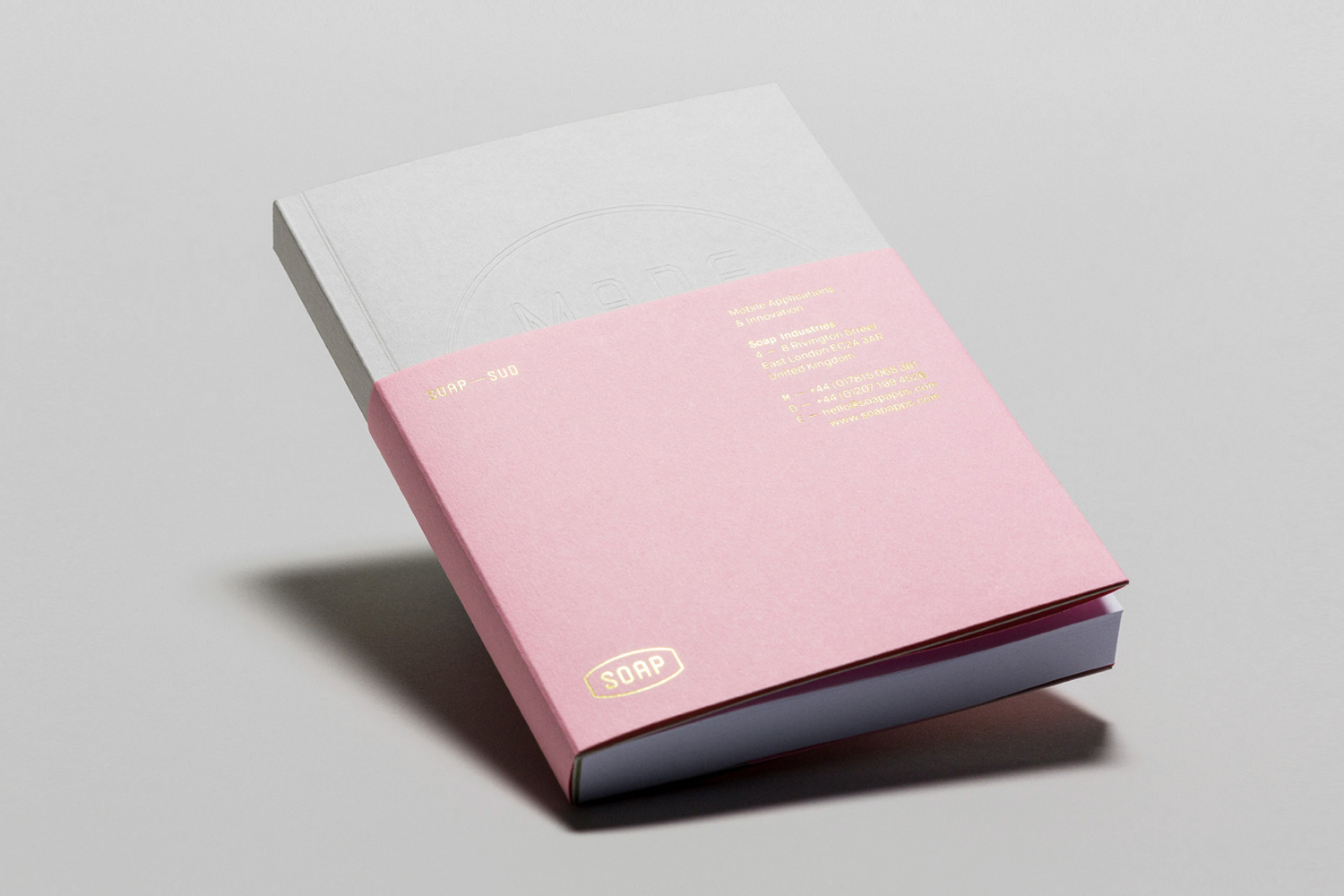 Closed book with a light grey cover and a pink paper band featuring gold foil text resting on a neutral grey background.