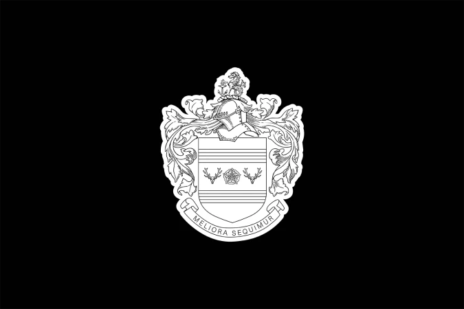 Brand Identity
