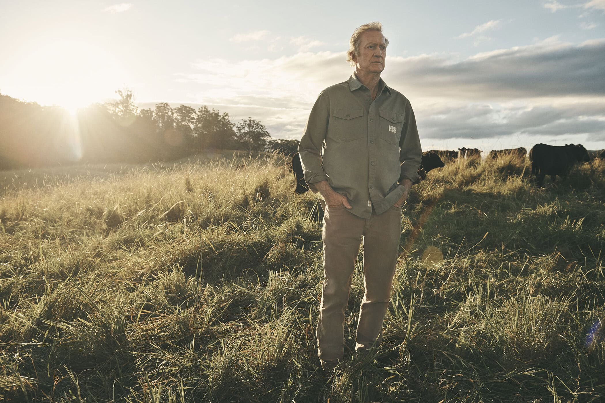 An older man standing in a tall grassy meadow at sunset, wearing an olive shirt and trousers, with distant cattle.