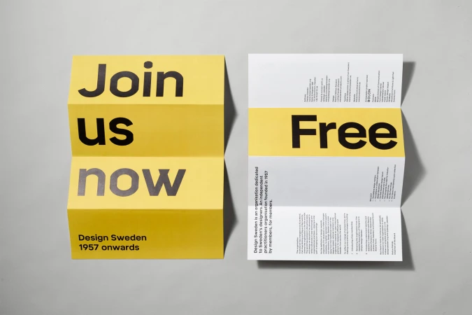 Brand Identity