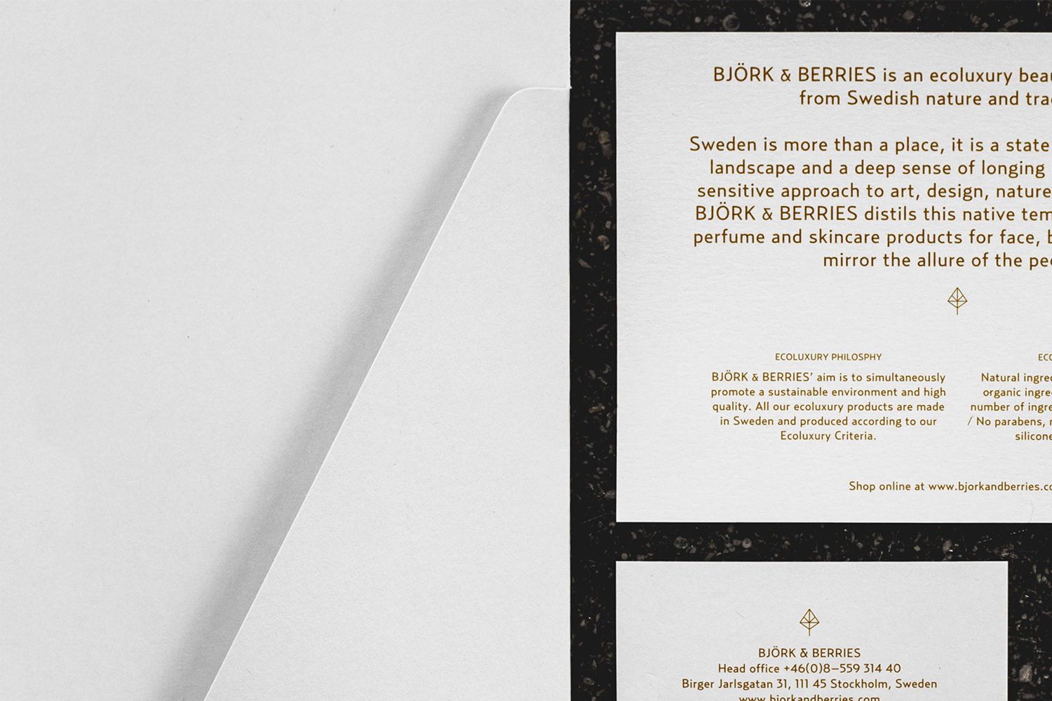 White paper stationery with gold typography and brand text resting on a dark textured background