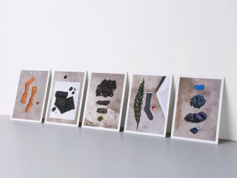 Five framed photographic prints arranged in a row featuring organic textures, yarn, and foliage against a white wall.
