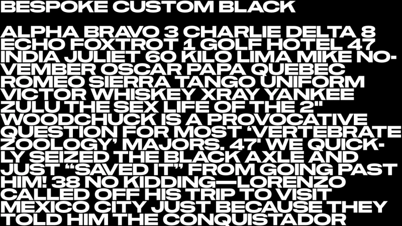 Brand Identity