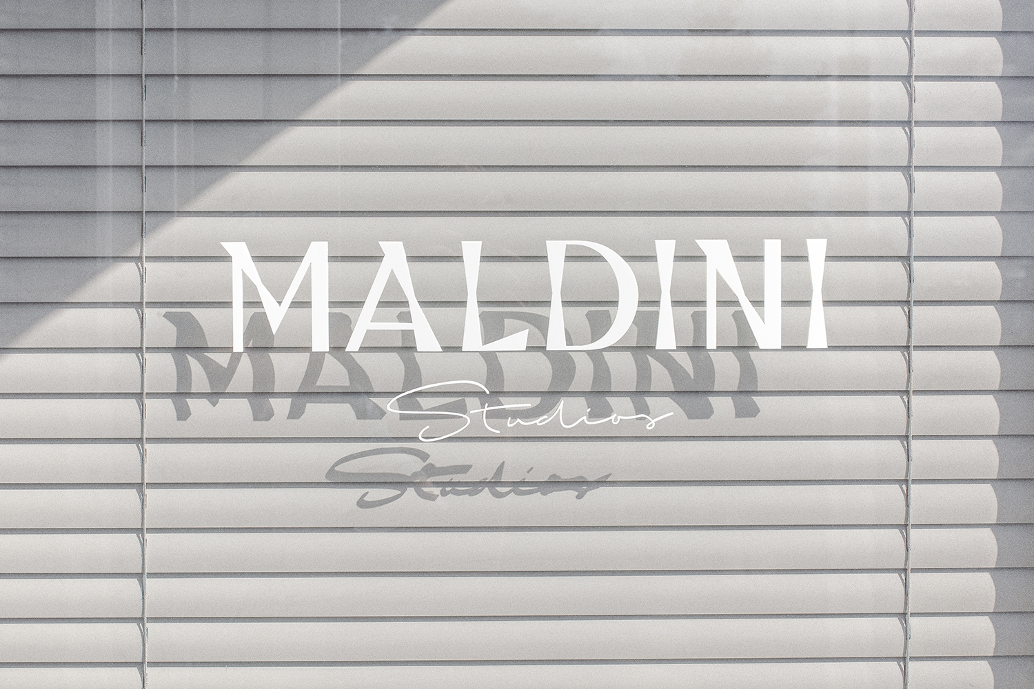 Maldini Studios brand identity typography overlaid on horizontal window blinds with soft diagonal shadows.