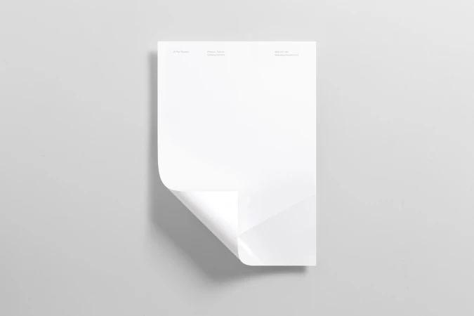Brand Identity