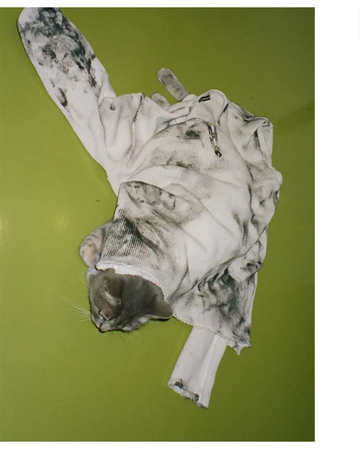 Fall 2025 Ad Campaign