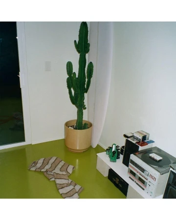 A tall potted cactus plant in a corner next to a white surfboard and a stereo system on a low white table.