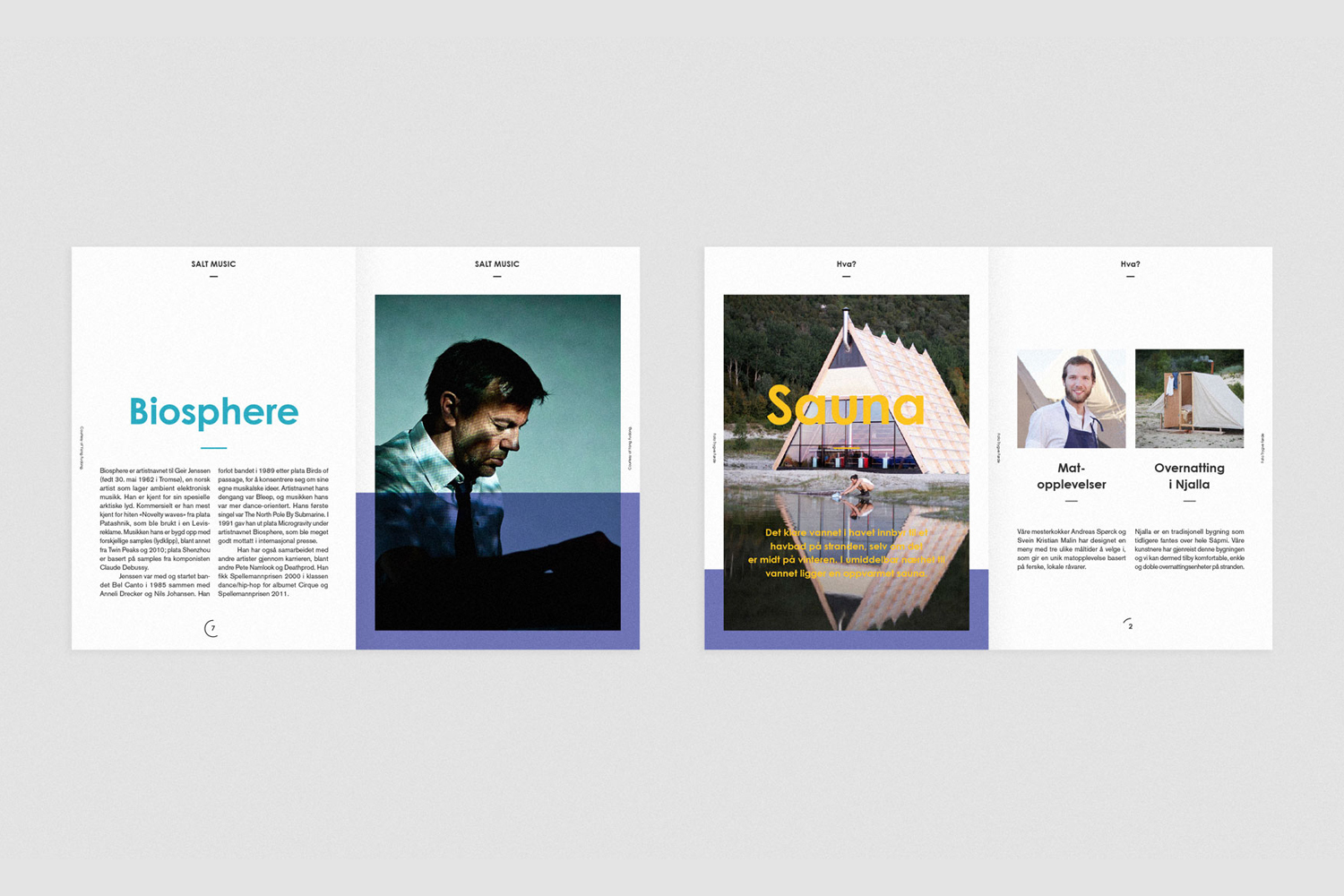 Spotted spread of a brand identity design for Salt featuring typography, editorial layouts, and photography against a clean white background.