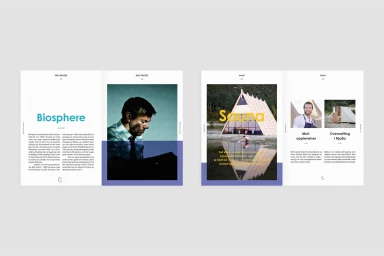 Spotted spread of a brand identity design for Salt featuring typography, editorial layouts, and photography against a clean white background.