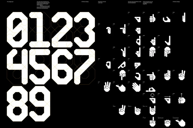 Brand Identity