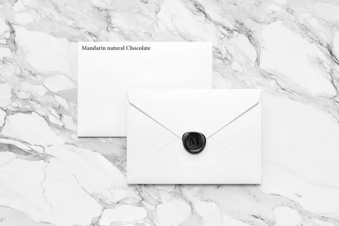 Brand Identity