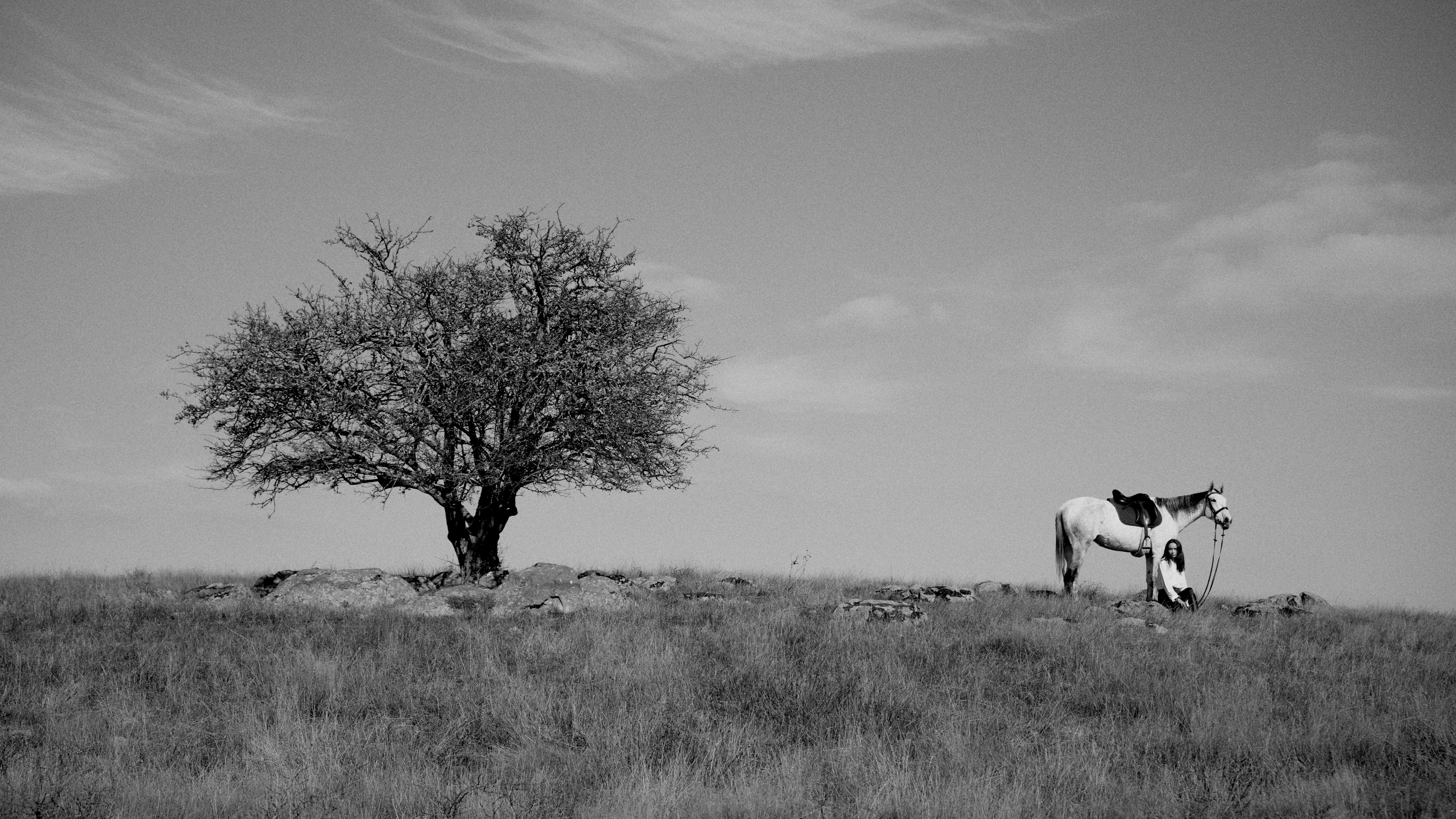 Black and white landscape with a horse, a person, and a tree in a grassy field under a cloudy sky, creating a serene, rural scene.