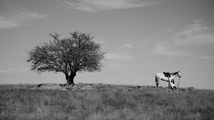 Black and white editorial photo of a person seated beside a horse on a grassy hill next to a large bare tree.