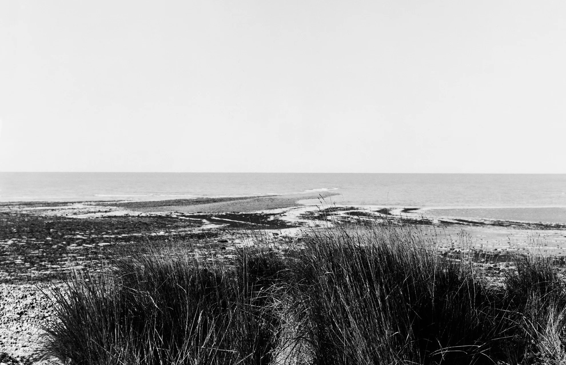 Monochrome landscape photography of coastal marshland and the sea under an overcast sky, viewed past tall dune grasses.