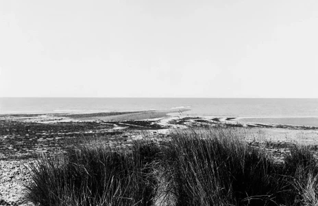 Monochrome landscape photography of coastal marshland and the sea under an overcast sky, viewed past tall dune grasses.