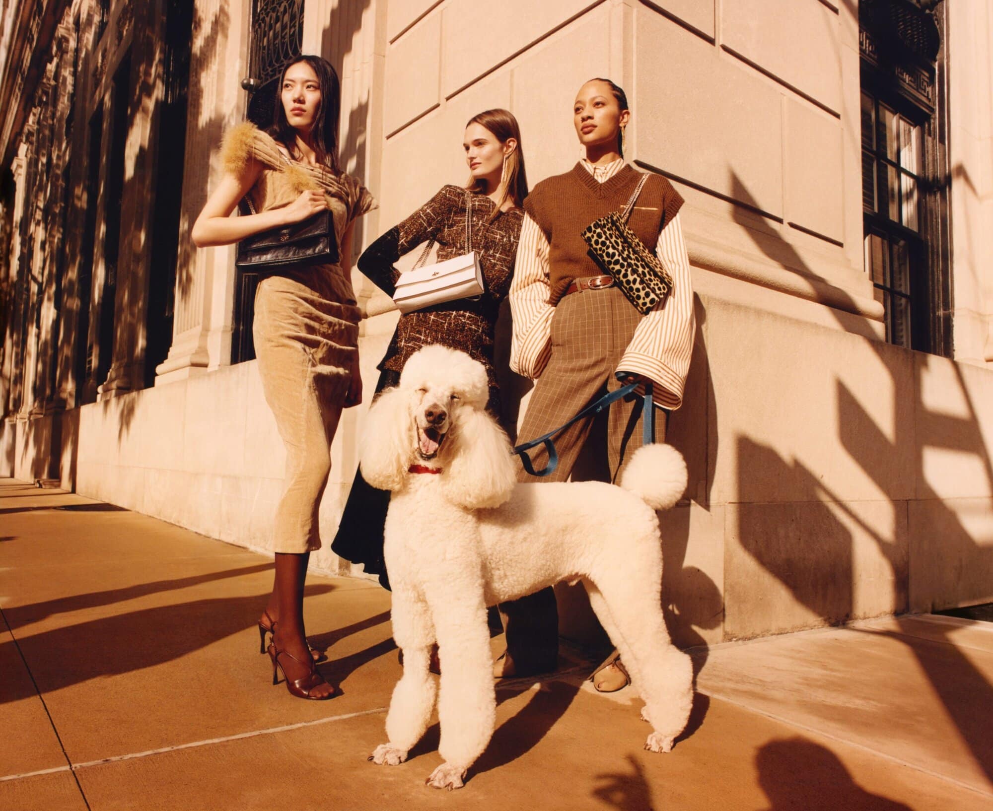 Three models posing outdoors with a large white standard poodle on a sidewalk in front of a classical stone building.