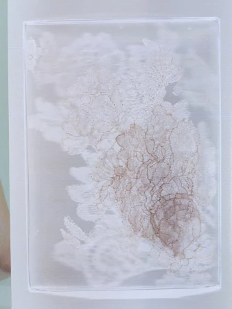 Delicate white lace fabric pattern layered beneath a translucent surface with soft brown tones.