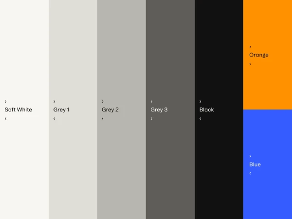 Brand Identity