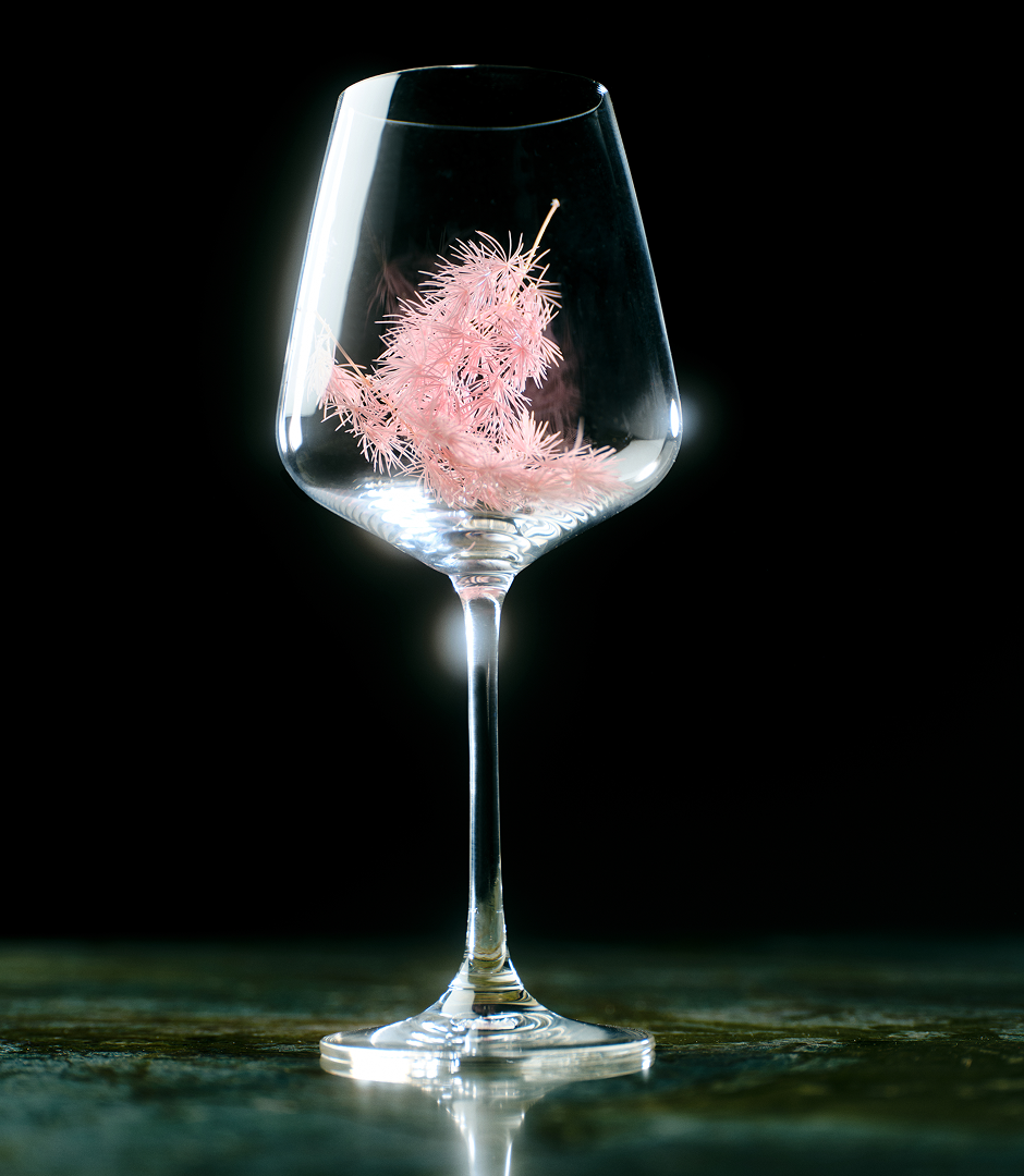 A delicate pink fuzzy plant stem resting inside a clear crystal wine glass against a dark background.