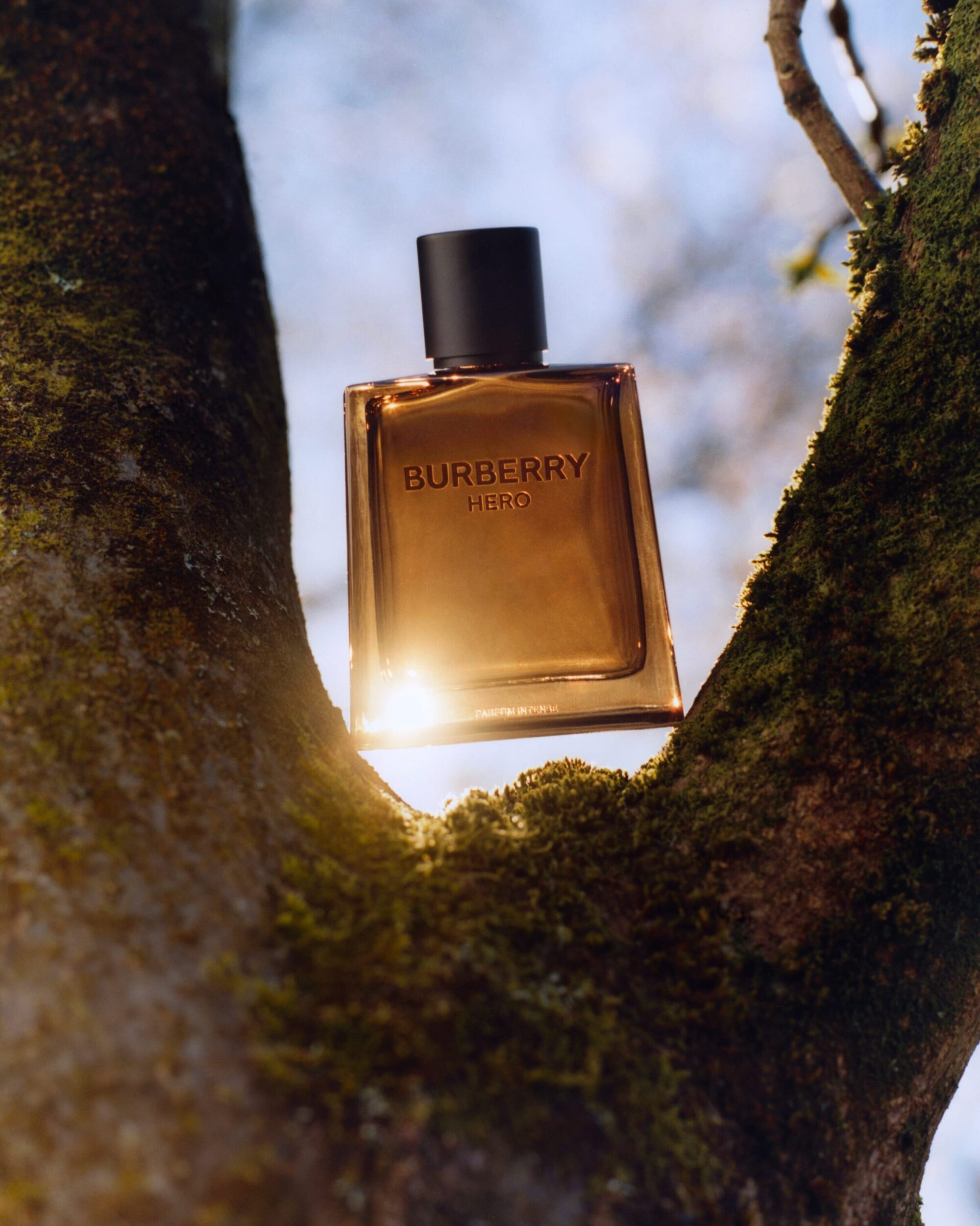 Burberry Hero perfume bottle nestled between moss-covered tree branches with warm sunlight glowing behind it