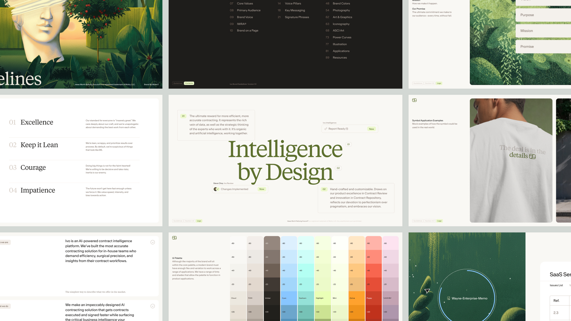 A multi-panel presentation showing brand identity guidelines for Ivo featuring typography, colour palettes, and illustration