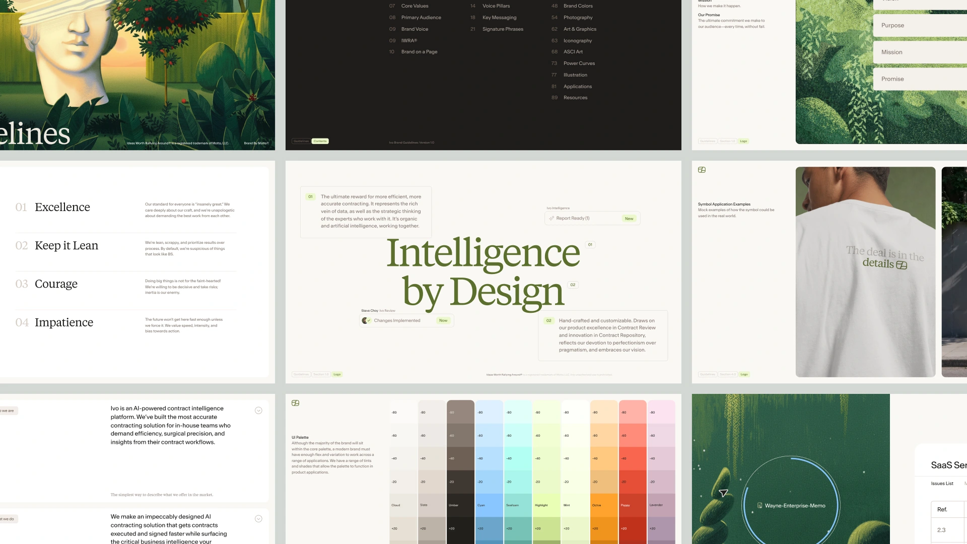 A multi-panel presentation showing brand identity guidelines for Ivo featuring typography, colour palettes, and illustration