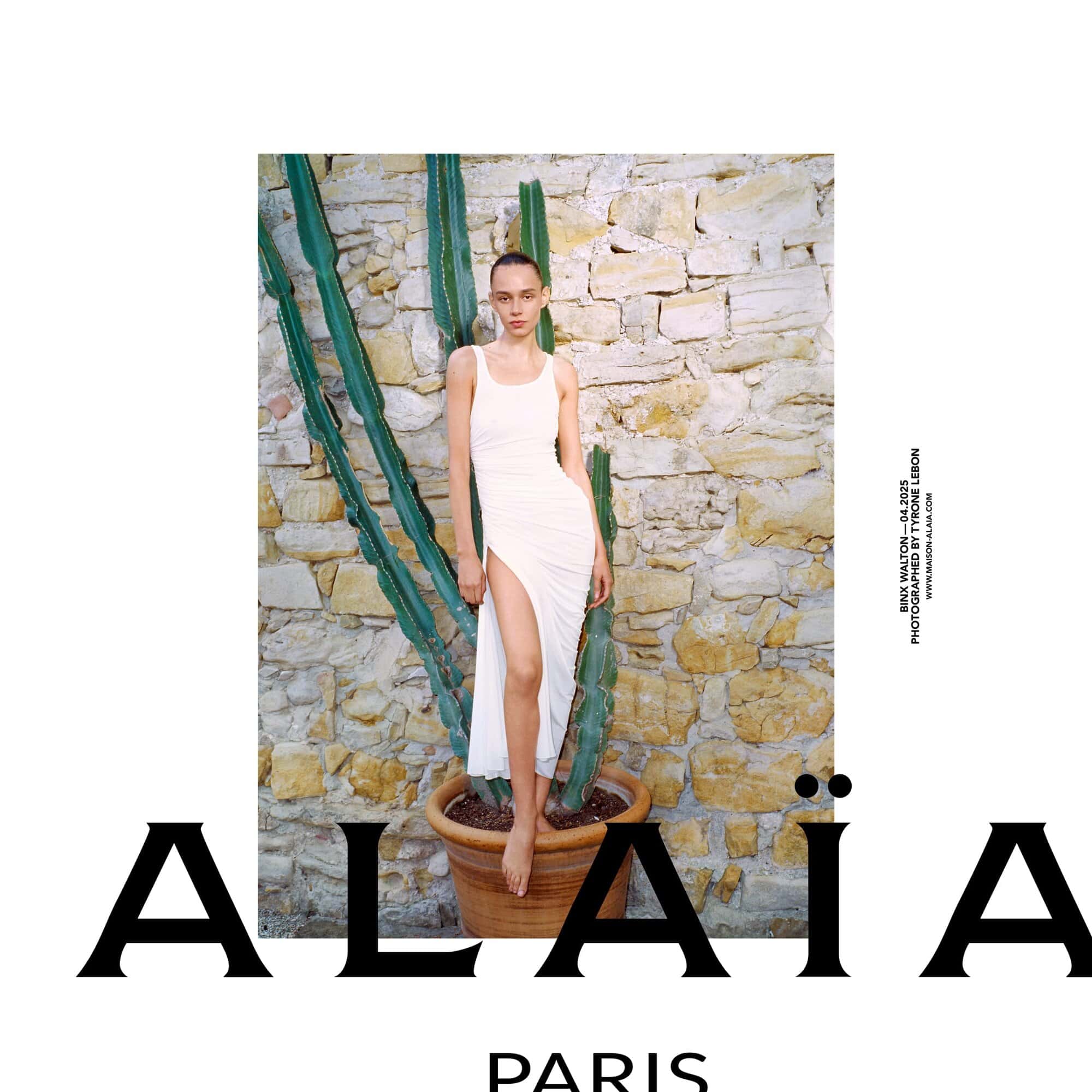 Model standing in a potted cactus against a stone wall for Alaia Summer 2025 campaign