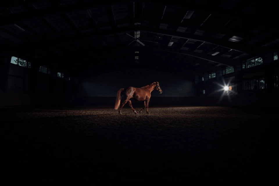 Spring 2025 Ad Campaign