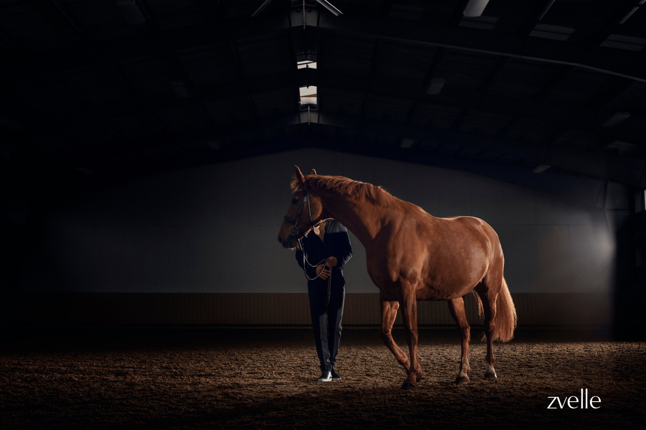 A person standing next to a chestnut horse in an indoor riding arena under dramatic low-key lighting.