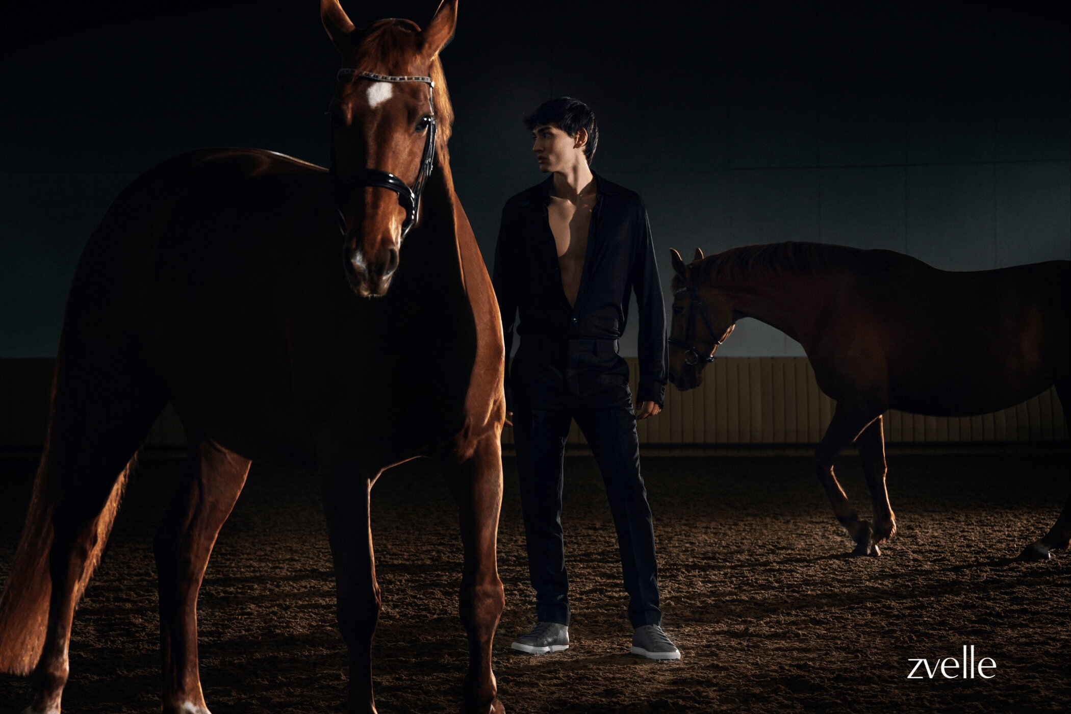 Man in black standing between two brown horses in an indoor arena for Zvelle spring 2025 ad campaign photographed by Daniel Harrison