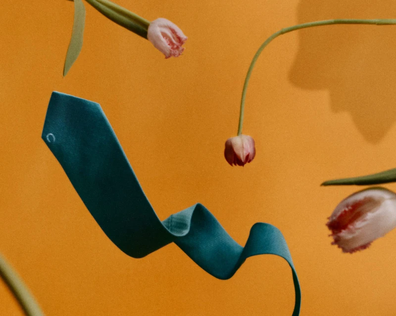 Spring 2025 Ad Campaign