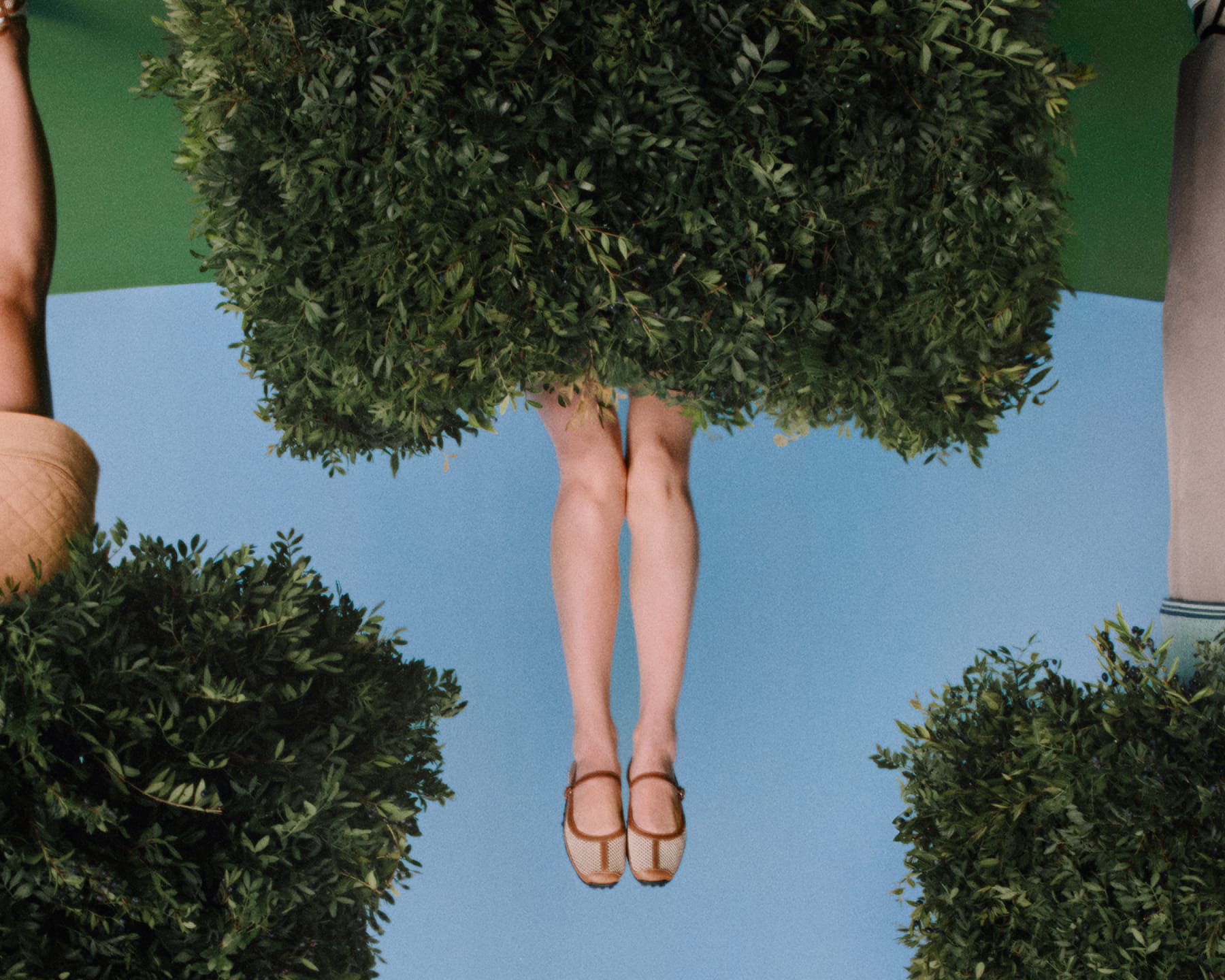Close-up of a person's legs and feet wearing Mary Jane flats emerging from trimmed green boxwood hedges against a bright blue sky.