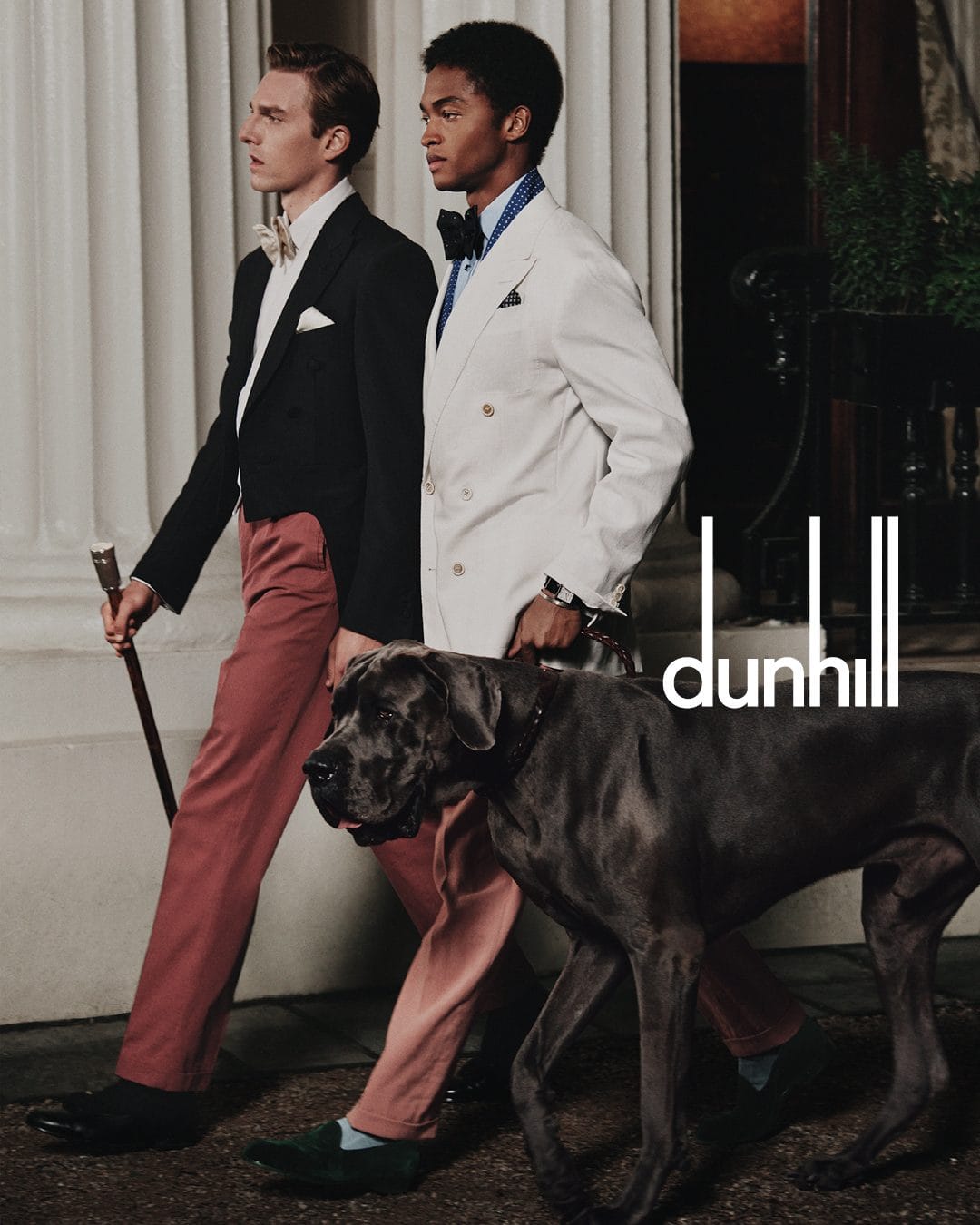 Two men in formalwear walking alongside a large dark dog near classical architectural columns for Dunhill Spring 2025 campaign.