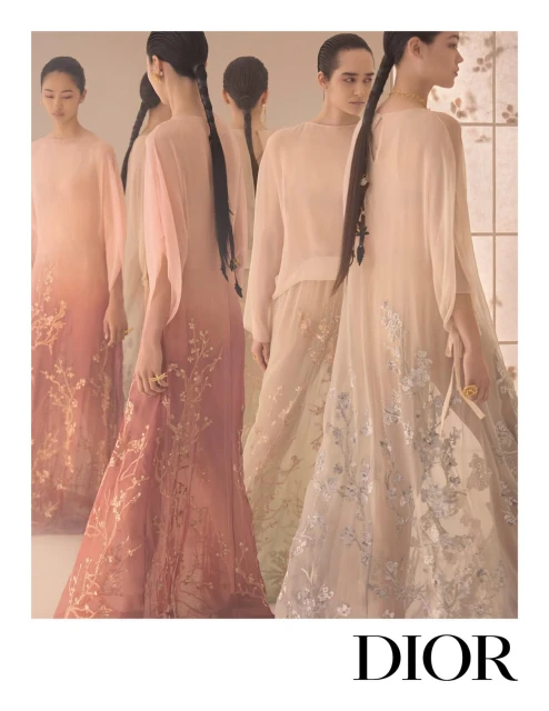 Dior Fall 2025 Ad Campaign