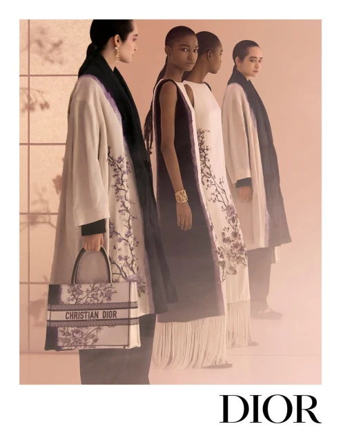 Dior Fall 2025 Ad Campaign