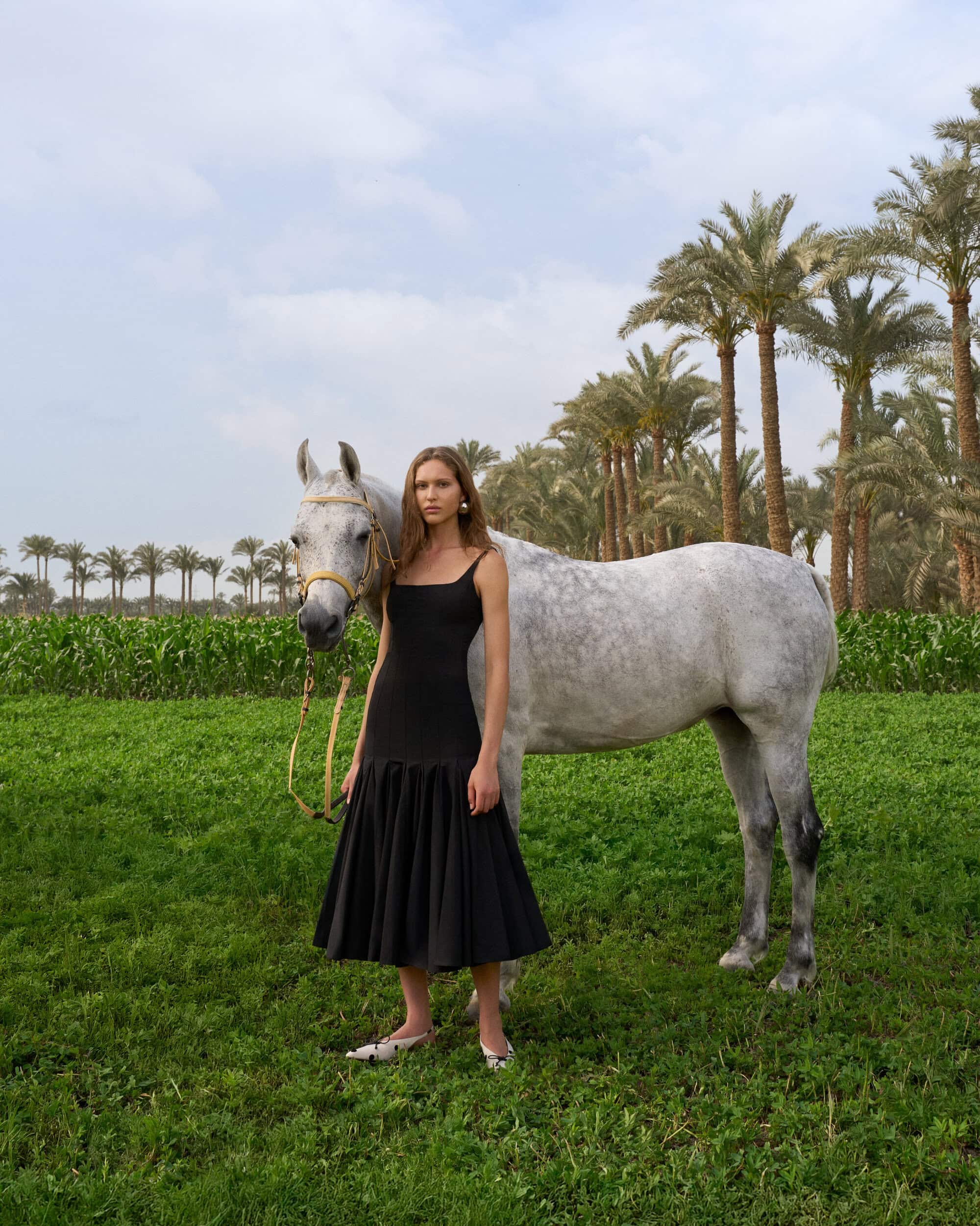 Model wearing a black dress standing next to a grey horse in a lush green field lined with palm trees