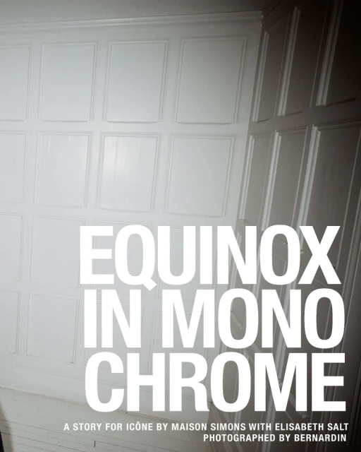 Monochromatic interior wall design with geometric paneling, and large white sans-serif typography stating "Equinox In Monochrome."