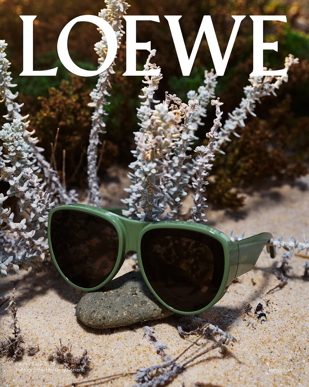 Green sunglasses resting on a stone among sand and pale vegetation for Loewe Paula's Ibiza ad campaign