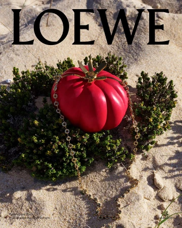 Loewe red tomato shaped bag resting on green shrubs in sandy terrain with gold chain