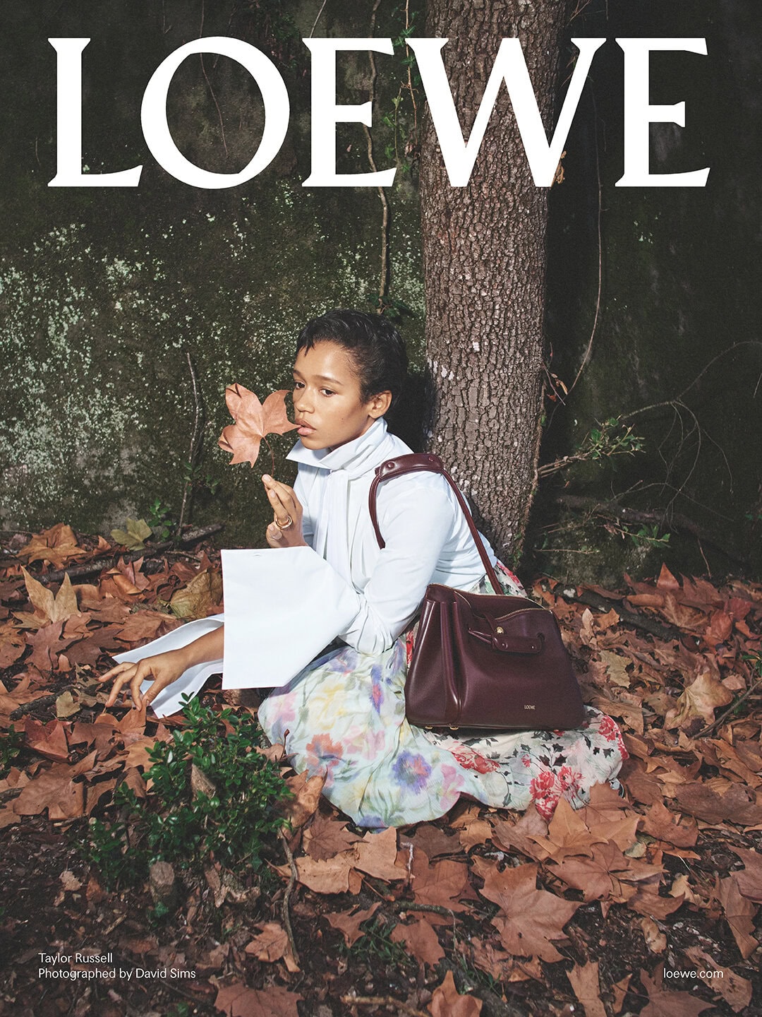 Model Taylor Russell holding a dry leaf in a woodland setting next to a burgundy leather handbag from Loewe.