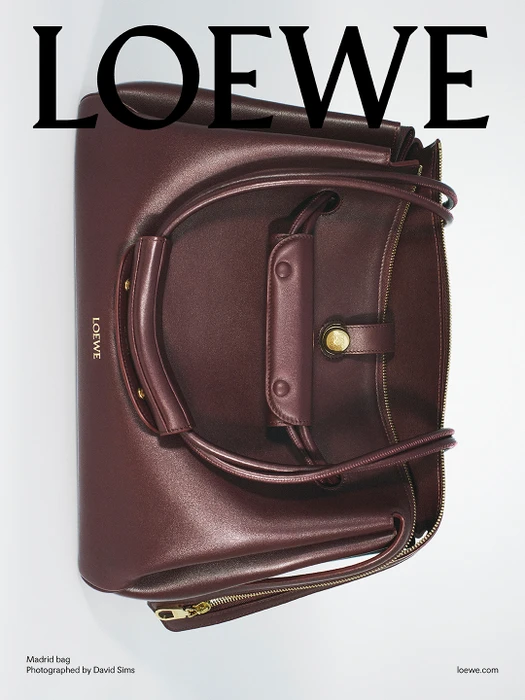 Burgundy leather Loewe Madrid bag against a plain white background with bold black typography overhead.