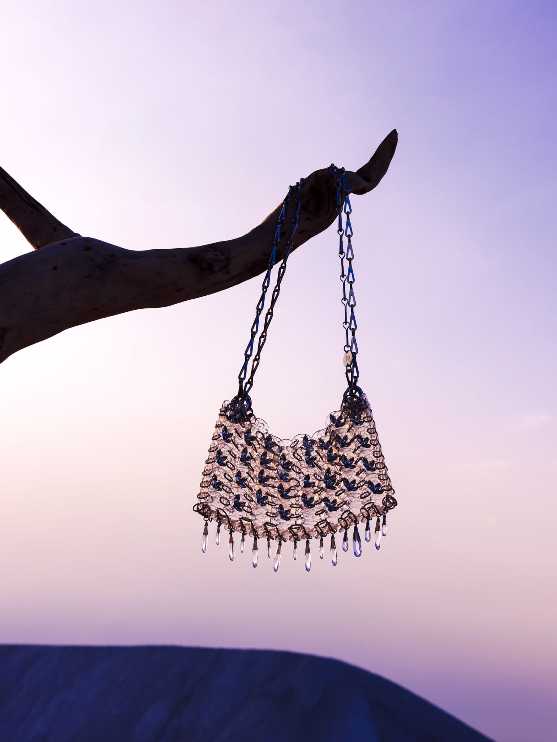 Metallic mesh handbag hanging from a dark tree branch against a sunset sky and dark landscape background