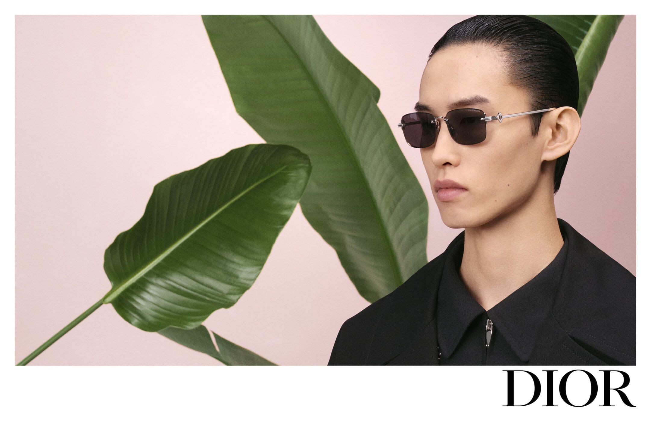 Close-up portrait of a male model wearing dark sunglasses and a black collared shirt against a pale backdrop with large green leaves